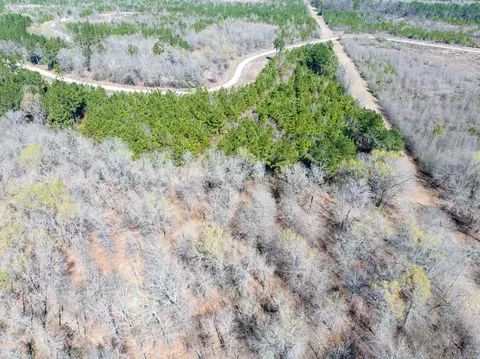 View/Area - 1 Bo Brown Rd, Trinity, TX 75862 photo 4 of 10