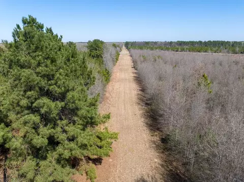 Other - 1 Bo Brown Rd, Trinity, TX 75862 photo 3 of 10