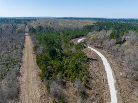 View/Area - 1 Bo Brown Rd, Trinity, TX 75862 photo 6 of 10