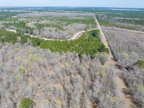 View/Area - 1 Bo Brown Rd, Trinity, TX 75862 photo 2 of 10