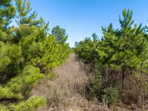 Other - 1 Bo Brown Rd, Trinity, TX 75862 photo 9 of 10