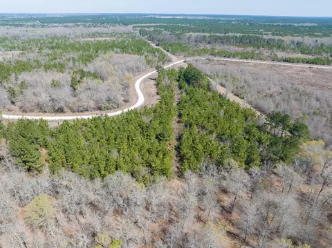 View/Area - 1 Bo Brown Rd, Trinity, TX 75862 photo 3 of 10