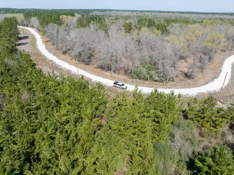 View/Area - 1 Bo Brown Rd, Trinity, TX 75862 photo 10 of 10