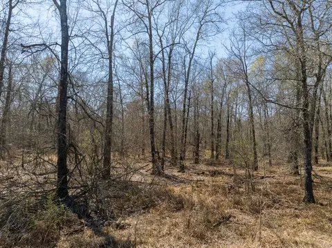 Other - 1 Bo Brown Rd, Trinity, TX 75862 photo 6 of 10