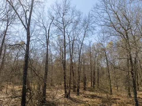Other - 1 Bo Brown Rd, Trinity, TX 75862 photo 7 of 10