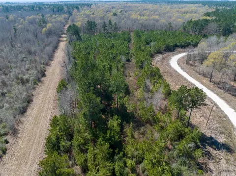 View/Area - 1 Bo Brown Rd, Trinity, TX 75862 photo 5 of 10