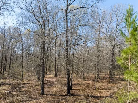Other - 1 Bo Brown Rd, Trinity, TX 75862 photo 8 of 10