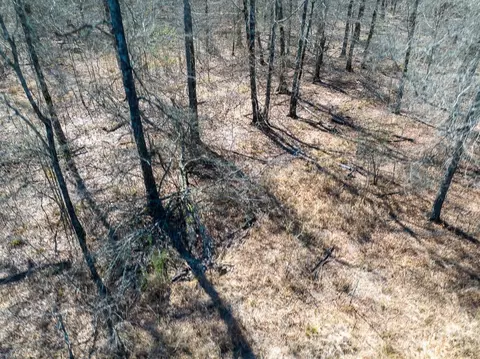 Other - 1 Bo Brown Rd, Trinity, TX 75862 photo 5 of 10