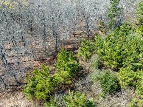 View/Area - 1 Bo Brown Rd, Trinity, TX 75862 photo 9 of 10