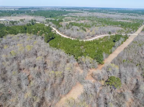 1 Bo Brown Rd, Trinity, TX 75862