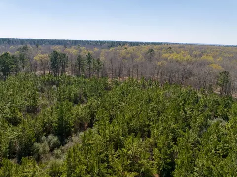 View/Area - 1 Bo Brown Rd, Trinity, TX 75862 photo 7 of 10