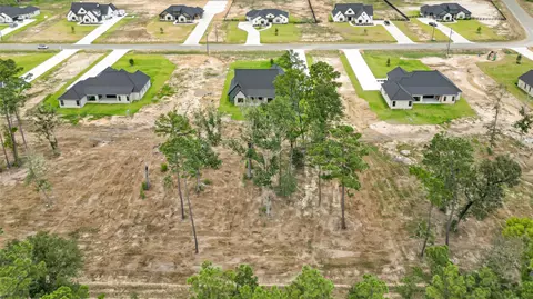 View/Area - 15028 Tybee Ln, Conroe, TX 77306 photo 4 of 5