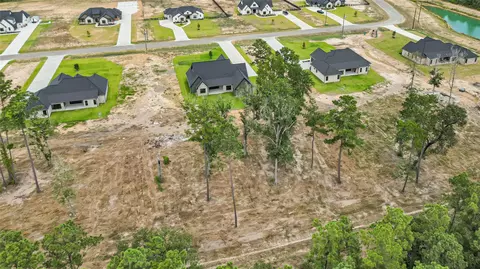 View/Area - 15028 Tybee Ln, Conroe, TX 77306 photo 3 of 5