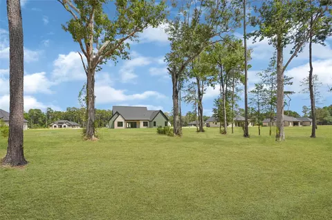 Exterior - 15028 Tybee Ln, Conroe, TX 77306 photo 4 of 4