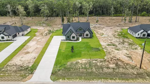 View/Area - 15028 Tybee Ln, Conroe, TX 77306 photo 2 of 5