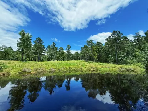 tbd Cr 298, Oakwood, TX 75855
