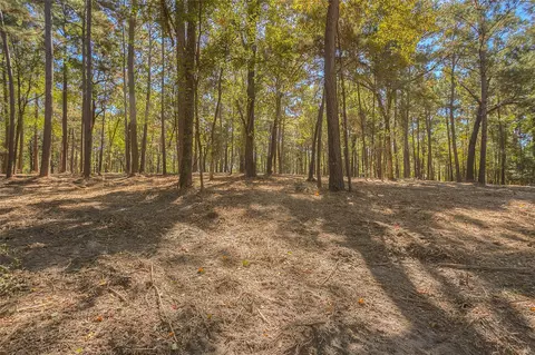 tbd Frank Cloud Rd, Huntsville, TX 77320