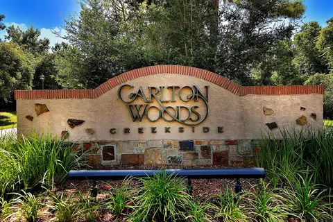 18 N Badger Lodge Cir, Spring, TX 77389