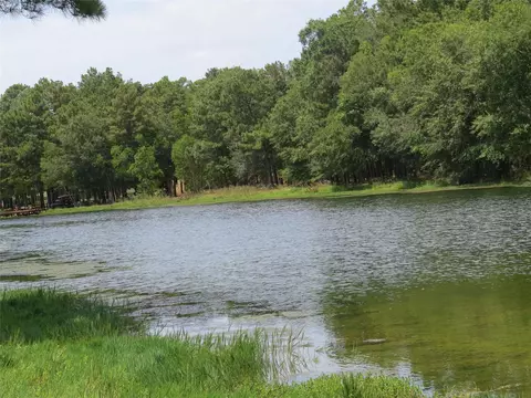 2176 Bambi Ct, Cleveland, TX 77328