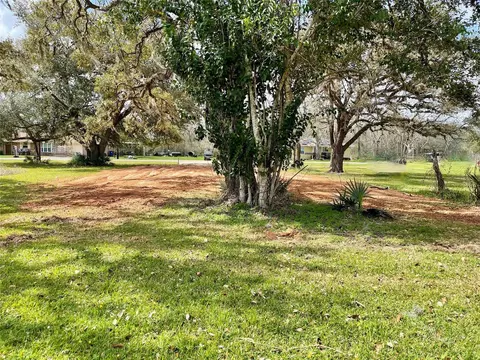 0 Travis Ave, Sweeny, TX 77480 photo 6