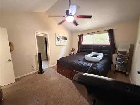 Bedroom - 24115 Spring Gum Dr, Spring, TX 77373 photo 2 of 7