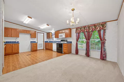 Other - 121 E Oak Shadows, Onalaska, TX 77360 photo 3 of 12