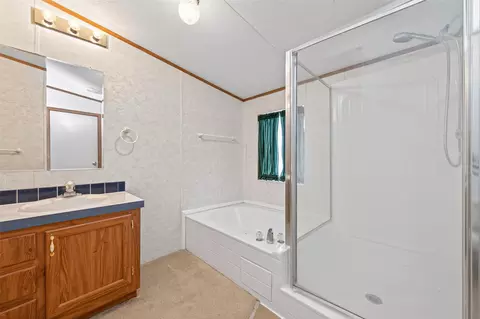 Bath - 121 E Oak Shadows, Onalaska, TX 77360 photo 1 of 5