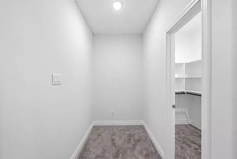 Other - 26652 White Pine Dr, Hempstead, TX 77445 photo 7 of 9