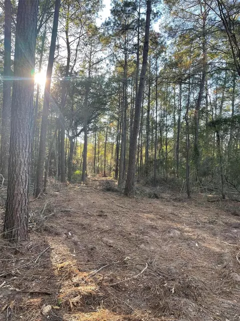 13034 Hackberrry Dr, Plantersville, TX 77363