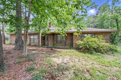 290 Maple Ln, Woodbranch, TX 77357 photo 1