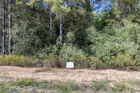 16002 Forest Mill Rd, Willis, TX 77378 photo 7