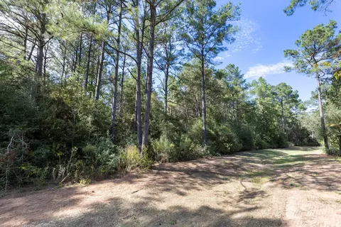16002 Forest Mill Rd, Willis, TX 77378 photo 11
