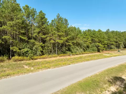 16002 Forest Mill Rd, Willis, TX 77378 photo 15