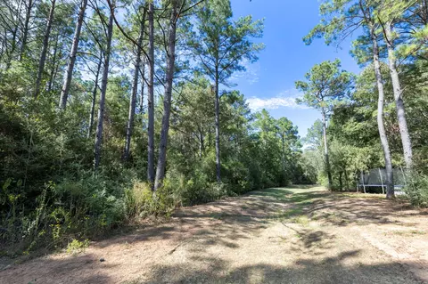 16002 Forest Mill Rd, Willis, TX 77378 photo 6