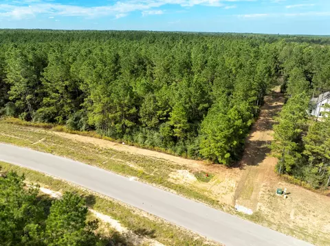 16002 Forest Mill Rd, Willis, TX 77378 photo 9