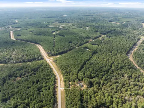 16002 Forest Mill Rd, Willis, TX 77378 photo 8