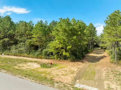 16002 Forest Mill Rd, Willis, TX 77378 photo 13