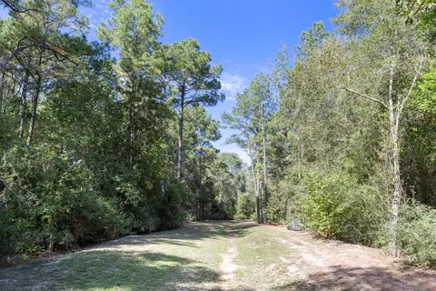16002 Forest Mill Rd, Willis, TX 77378 photo 16