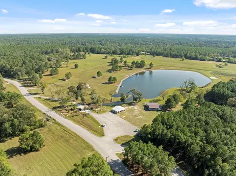 16002 Forest Mill Rd, Willis, TX 77378 photo 17