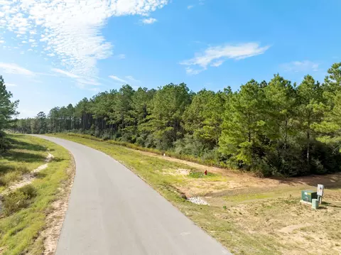 16002 Forest Mill Rd, Willis, TX 77378 photo 4