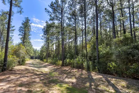 16002 Forest Mill Rd, Willis, TX 77378 photo 14