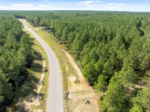 16002 Forest Mill Rd, Willis, TX 77378 photo 12