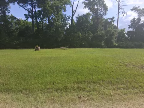 tbd Memphis Bell Rd, Trinity, TX 75862 photo 4