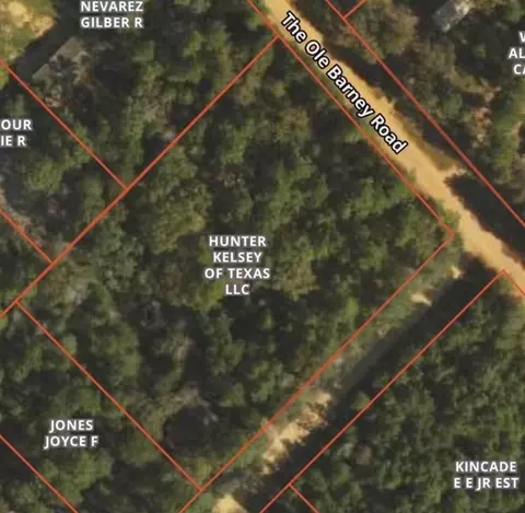 138 Barbara Trl, Livingston, TX 77351