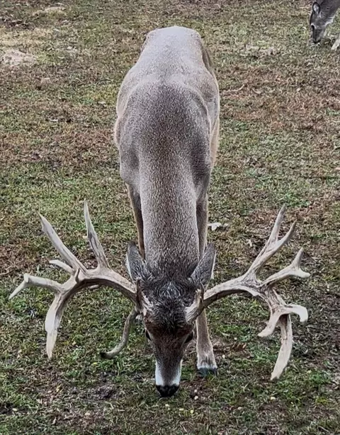 2489 Fm 256 S, Woodville, TX 75979