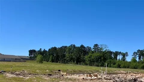 40745 Mostyn Lake Dr, Magnolia, TX 77354