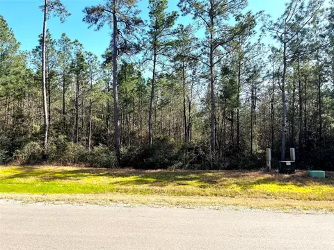 228 Exploration Rd, Willis, TX 77378 photo 6