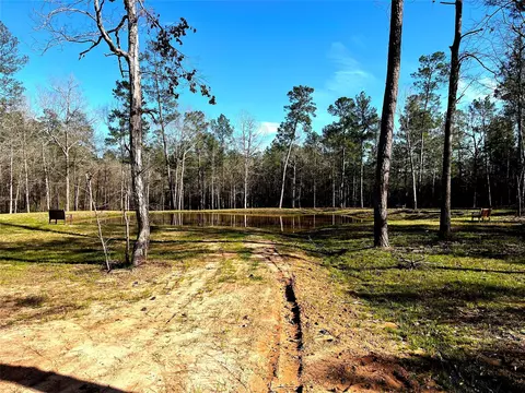 228 Exploration Rd, Willis, TX 77378 photo 13