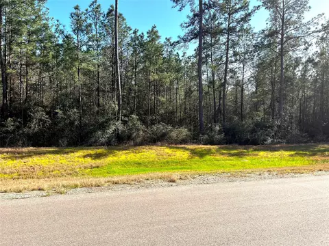 228 Exploration Rd, Willis, TX 77378 photo 3