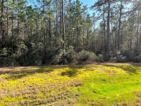 228 Exploration Rd, Willis, TX 77378 photo 7